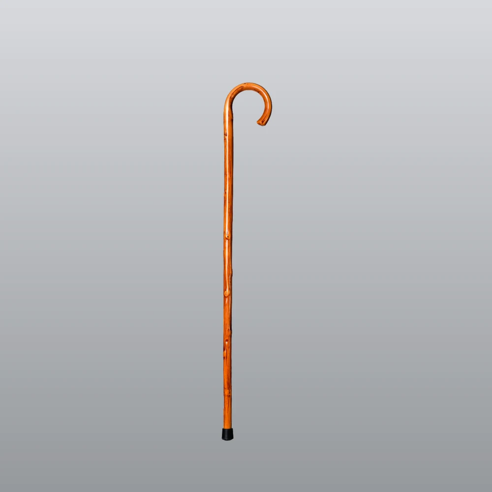 Ayudas técnicas